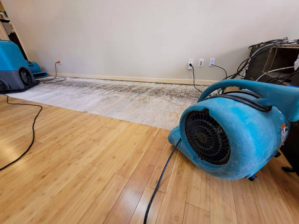 Professional Structural Drying technician working in Raywood, TX